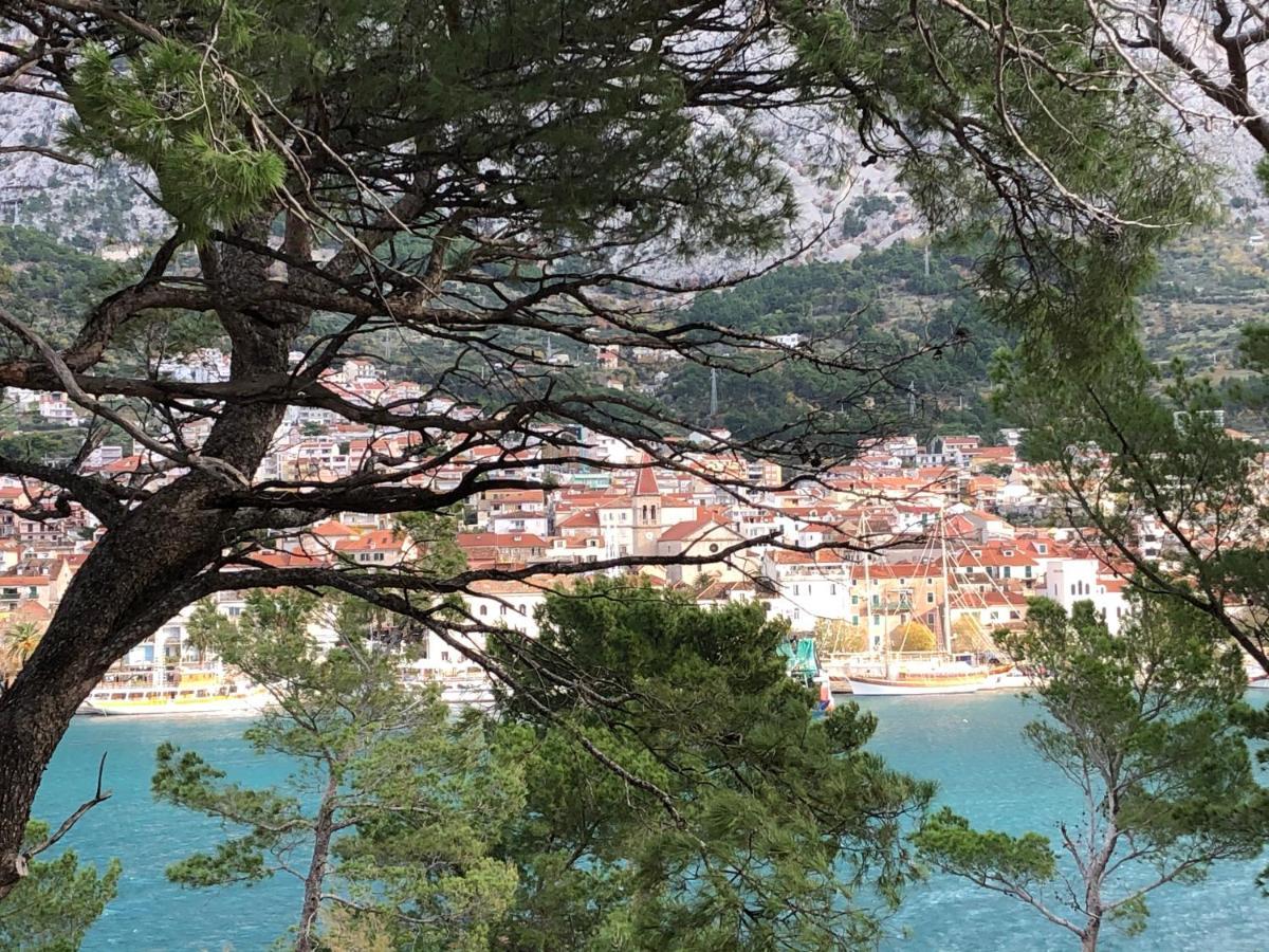 Apartments Drago Makarska Zewnętrze zdjęcie